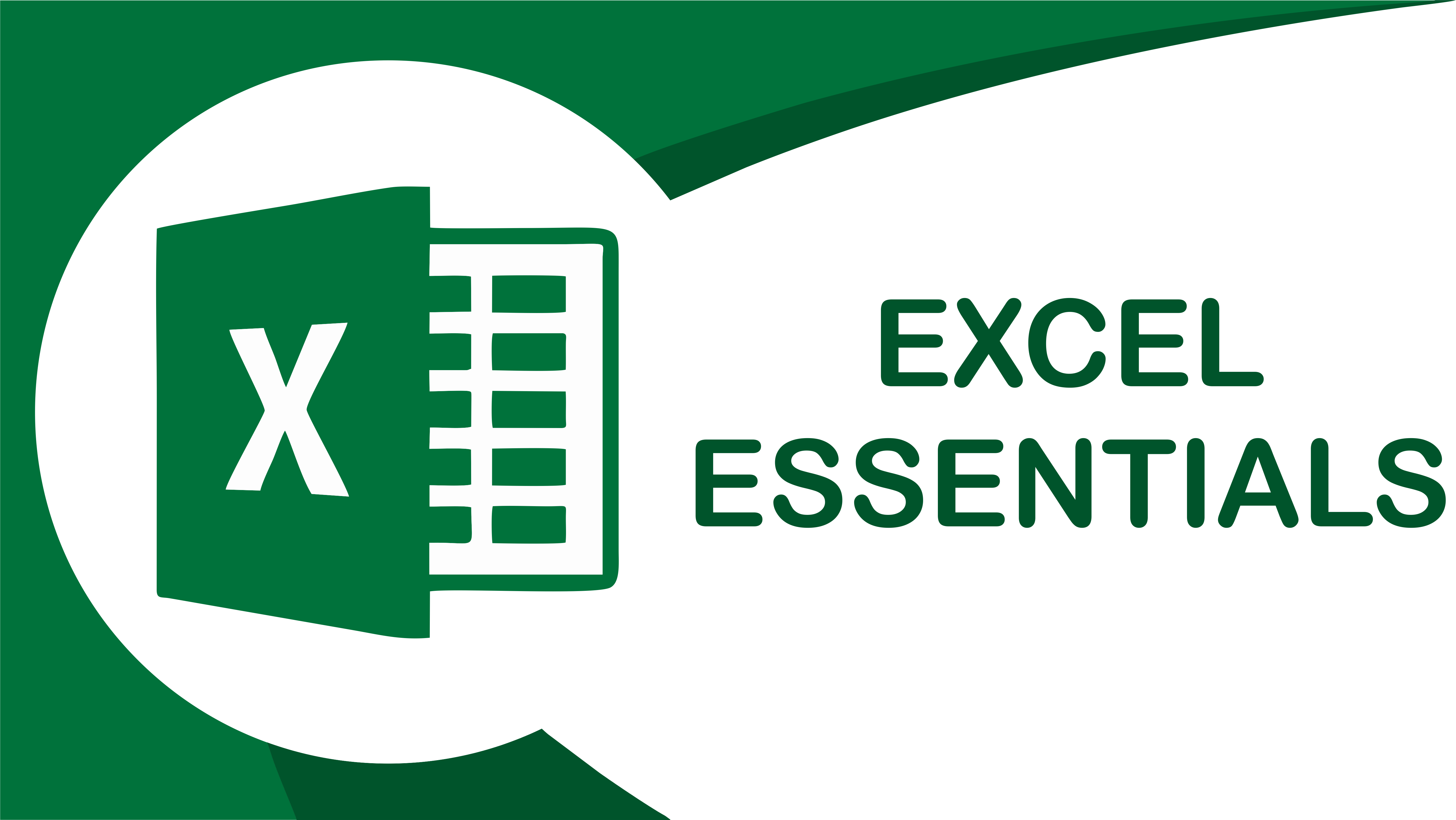 Excel Essentials